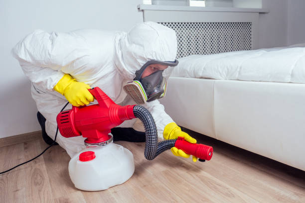 Best Pest Inspection Near Me  in Bullard, TX