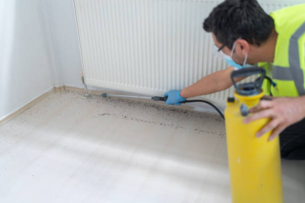 Best Pest Prevention Services  in Bullard, TX